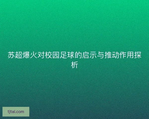 苏超爆火对校园足球的启示与推动作用探析