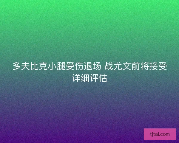 多夫比克小腿受伤退场 战尤文前将接受详细评估