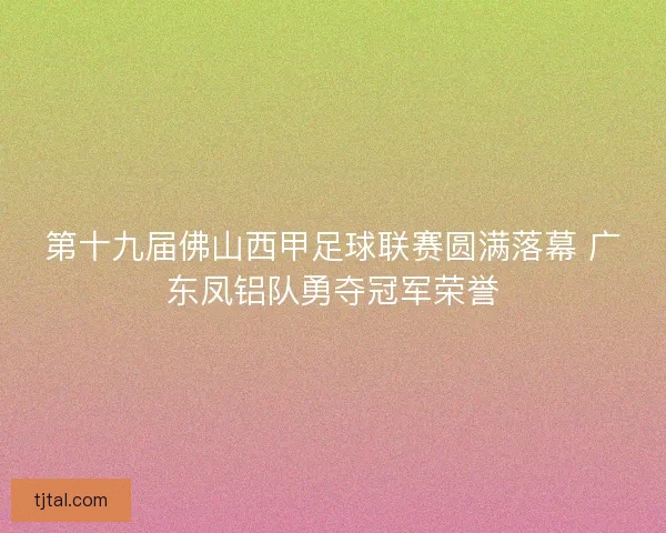第十九届佛山西甲足球联赛圆满落幕 广东凤铝队勇夺冠军荣誉