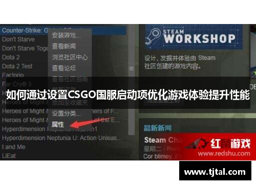 如何通过设置CSGO国服启动项优化游戏体验提升性能