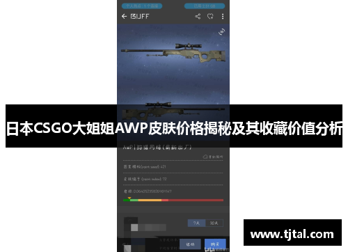 日本CSGO大姐姐AWP皮肤价格揭秘及其收藏价值分析